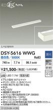 DSY-5616WWG