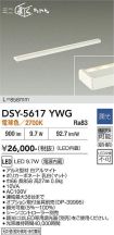 DSY-5617YWG