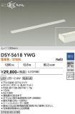 DSY-5618YWG