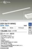 DSY-5619WWG