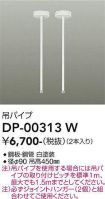 DP-00313W