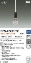 DPN-42493YG