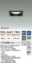 DDL-5621YBG