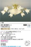 AA40488L