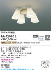 AA42070L