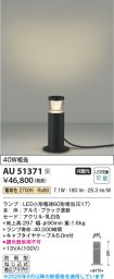 AU51371