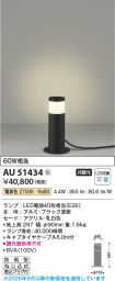 AU51434