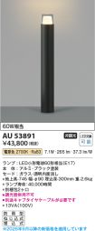 AU53891