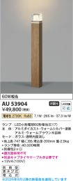 AU53904