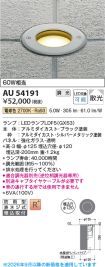 AU54191