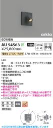 AU54563