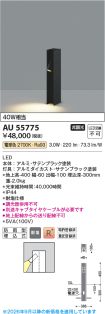 AU55775