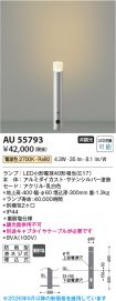 AU55793