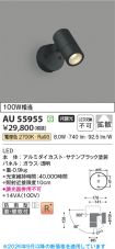 AU55955