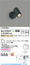 AU55957