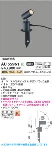 AU55961