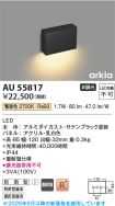 AU55817