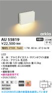 AU55819