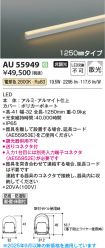 AU55949