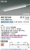 AH55165