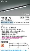 AH55170
