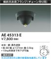 AE45313E