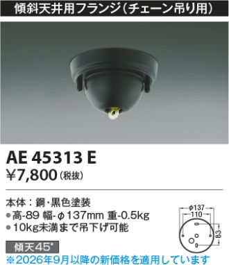 AE45313E