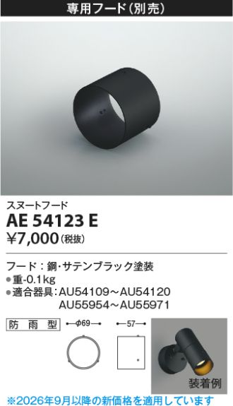 AE54123E