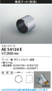 AE54124E
