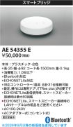 AE54355E