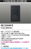 AE55449E