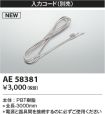 AE58381