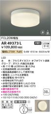 KAR49373L