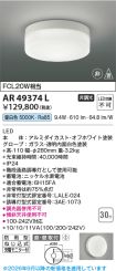 KAR49374L