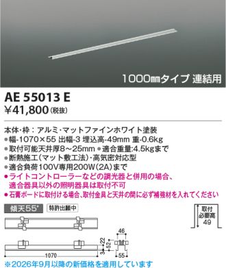 AE55013E