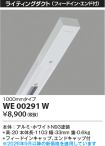 WE00291W