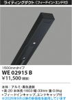 WE02915B