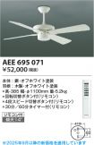 AEE695071