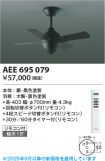 AEE695079