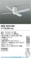 AEE595029