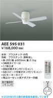 AEE595031