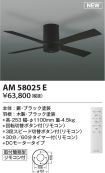 AM58025E
