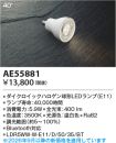 AE55881