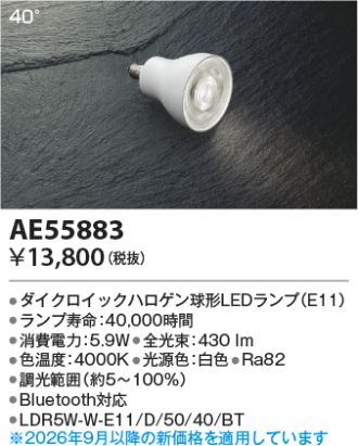 AE55883