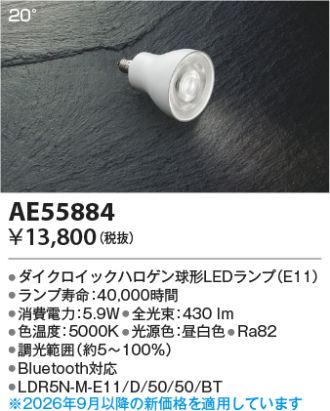 AE55884