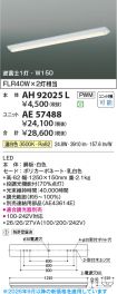 AE57488
