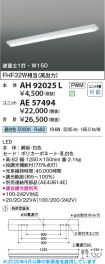 AE57494