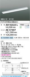 AE57497