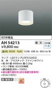AH54213