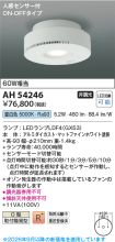 AH54246